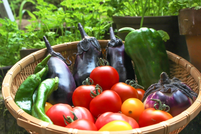 夏野菜栽培は土作りから そして初心者におすすめ夏野菜5選はこれ ケチエコ